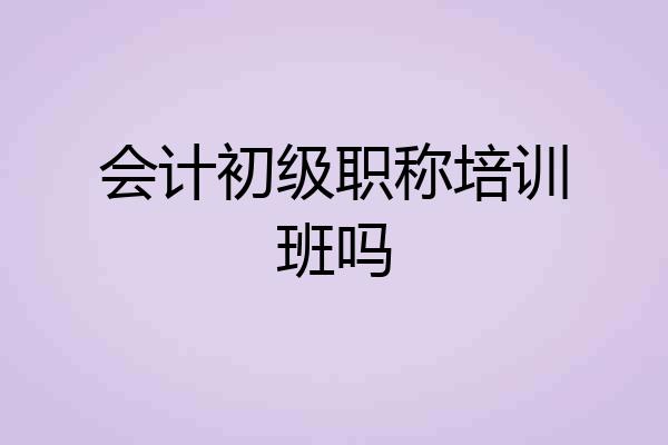 会计初级职称培训班吗