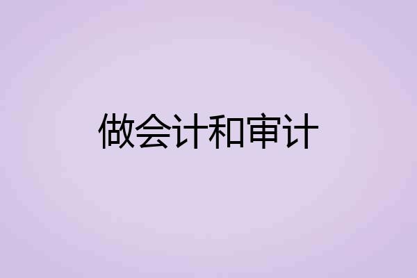 做会计和审计