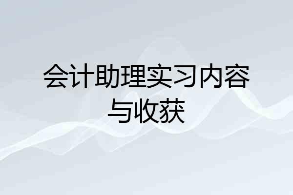 会计助理实习内容与收获