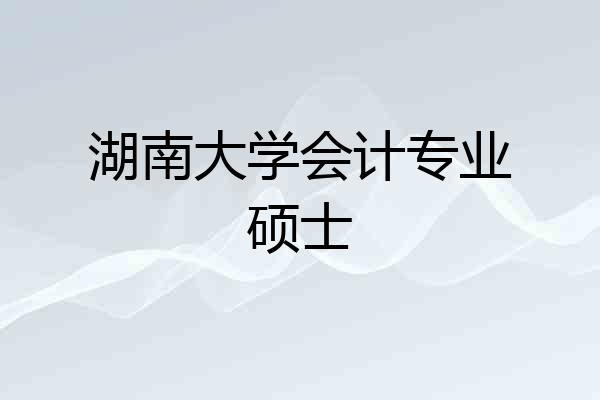 湖南大学会计专业硕士
