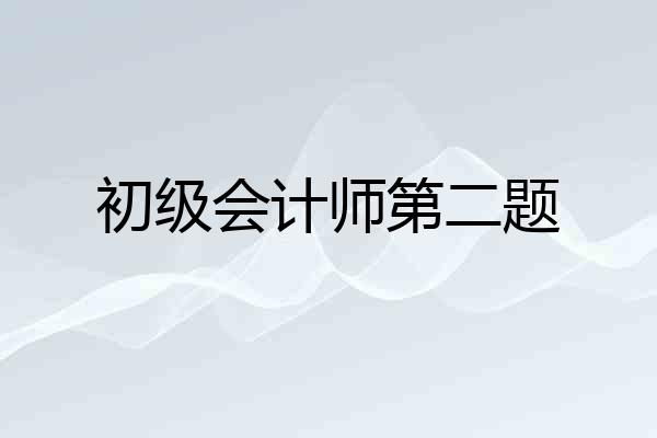 初级会计师第二题