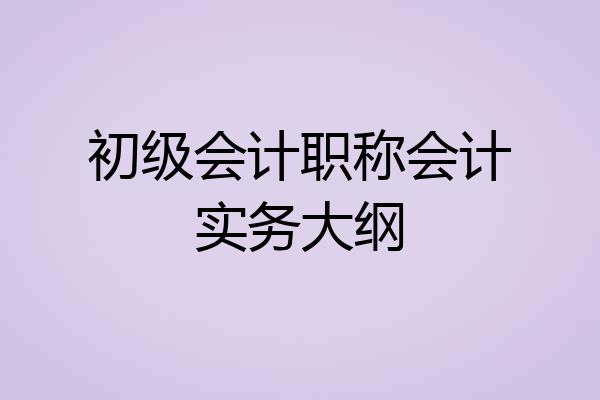 初级会计职称会计实务大纲