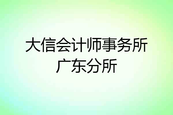 大信会计师事务所广东分所