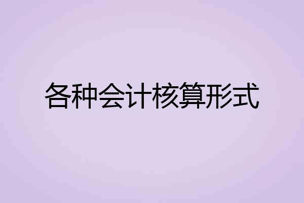 各种会计核算形式