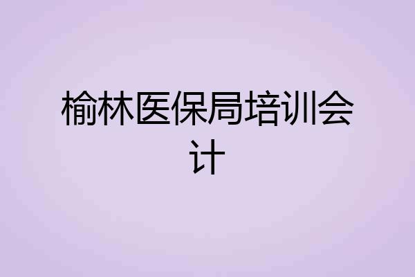 榆林医保局培训会计