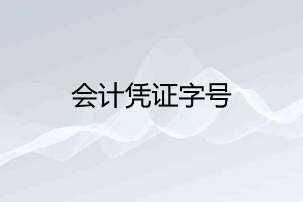 会计凭证字号