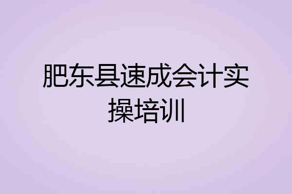 肥东县速成会计实操培训