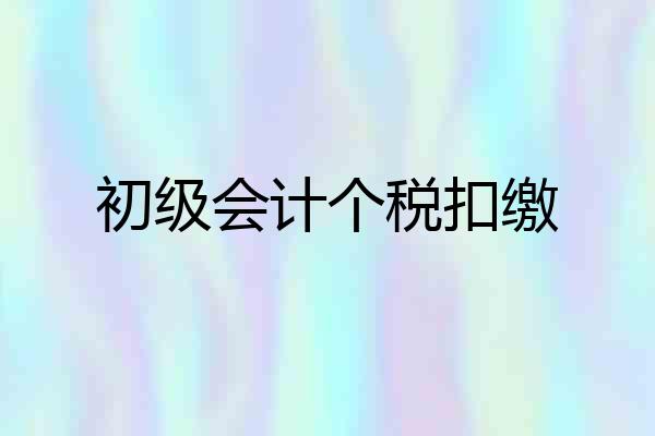 初级会计个税扣缴