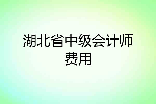 湖北省中级会计师费用
