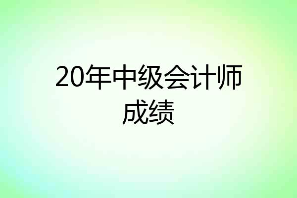 20年中级会计师成绩
