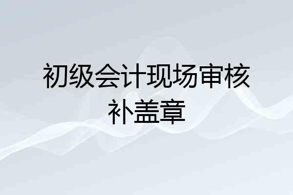 初级会计现场审核补盖章