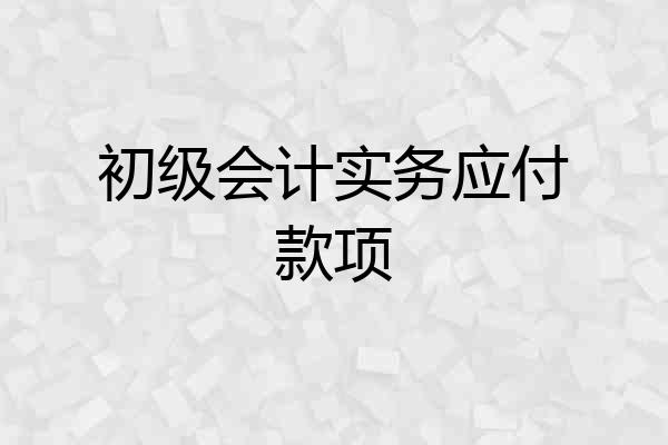 初级会计实务应付款项