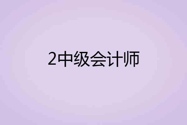 2中级会计师