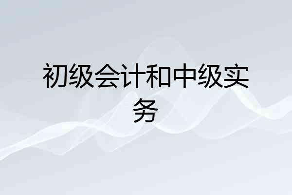 初级会计和中级实务