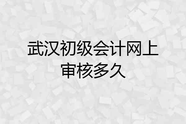 武汉初级会计网上审核多久