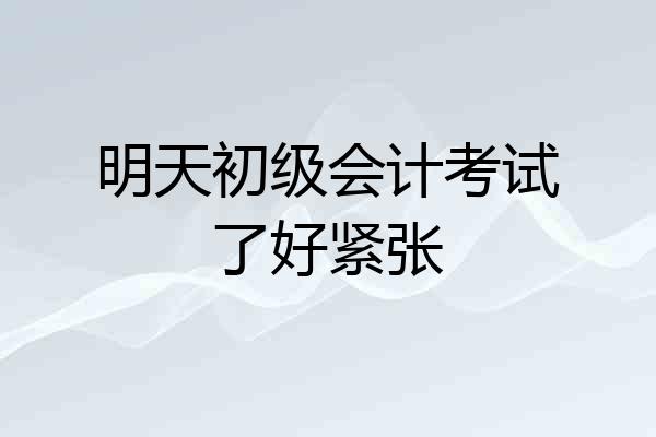 明天初级会计考试了好紧张