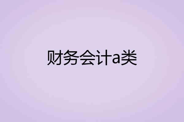 财务会计a类