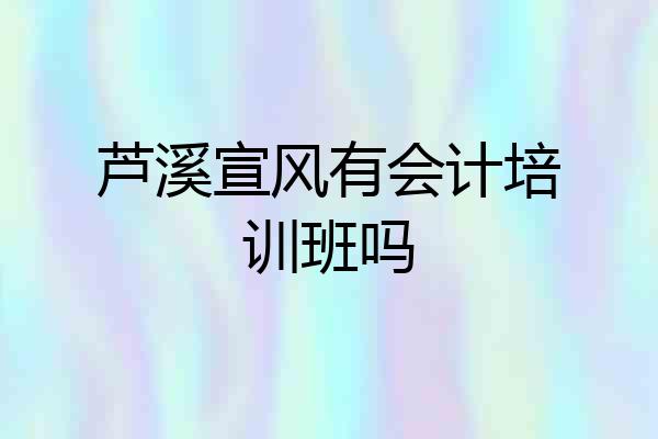 芦溪宣风有会计培训班吗