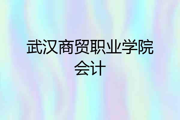 武汉商贸职业学院会计