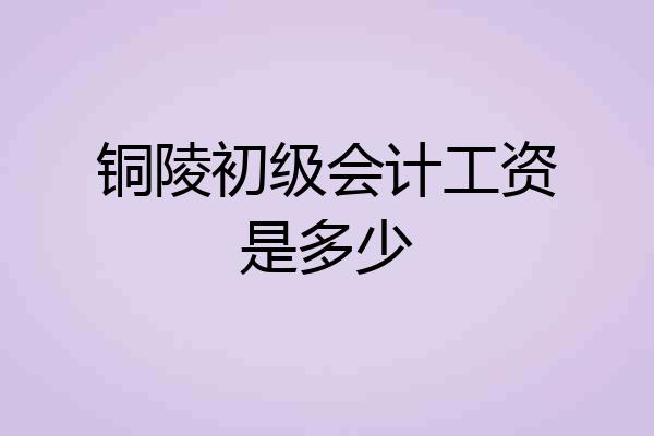 铜陵初级会计工资是多少