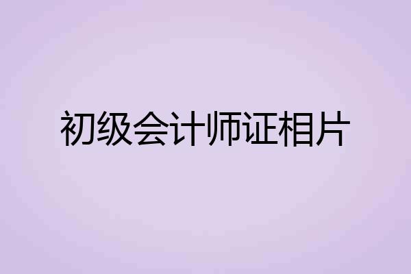 初级会计师证相片