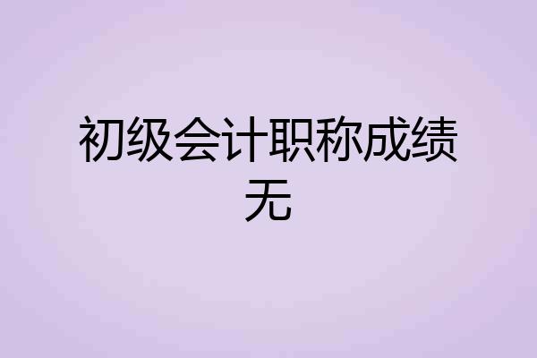 初级会计职称成绩无