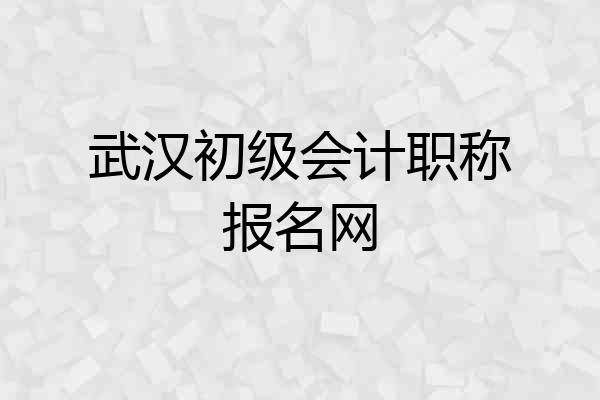 武汉初级会计职称报名网