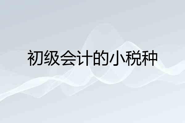 初级会计的小税种