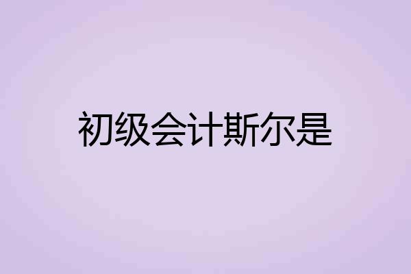 初级会计斯尔是
