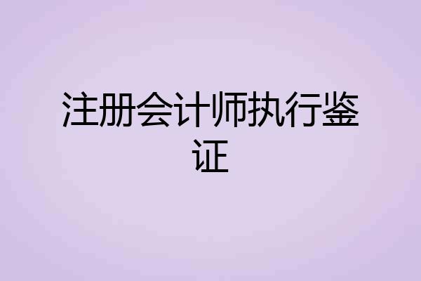 注册会计师执行鉴证