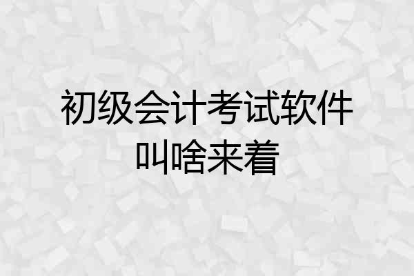 初级会计考试软件叫啥来着
