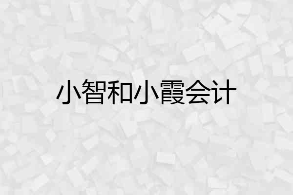 小智和小霞会计
