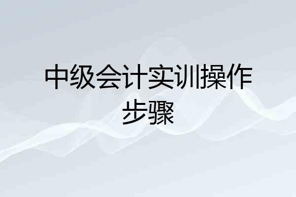 中级会计实训操作步骤