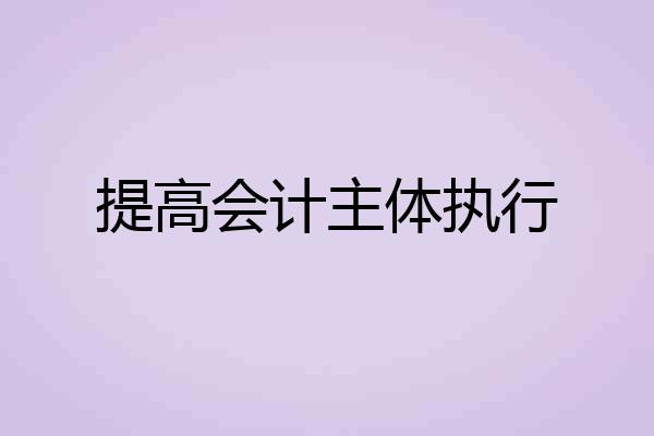 提高会计主体执行