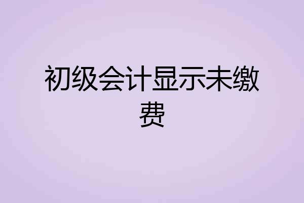 初级会计显示未缴费