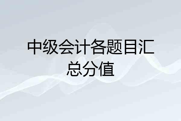 中级会计各题目汇总分值