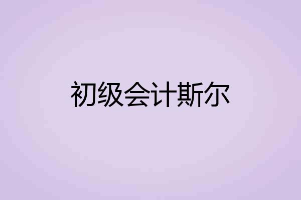 初级会计斯尔