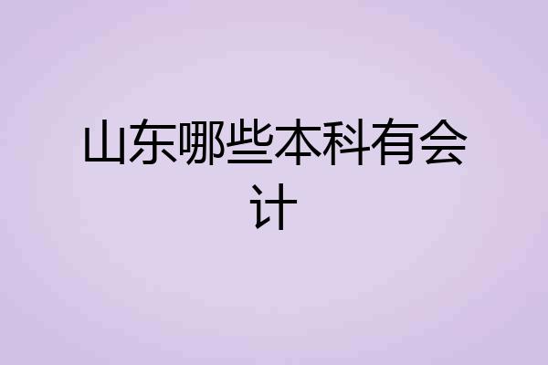 山东哪些本科有会计