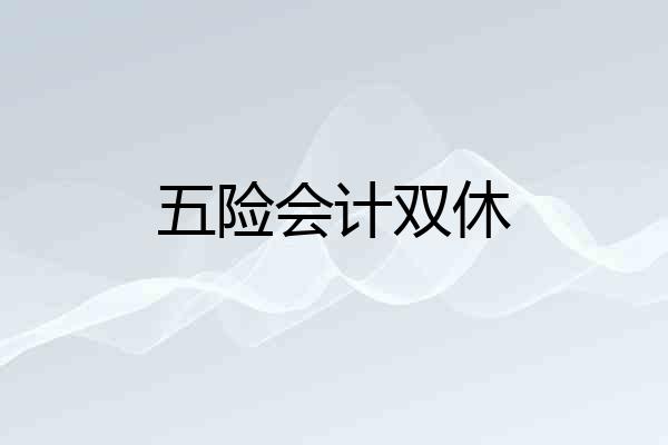 五险会计双休