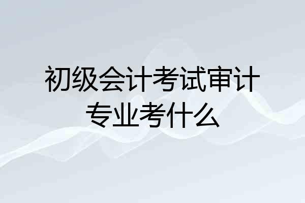 初级会计考试审计专业考什么