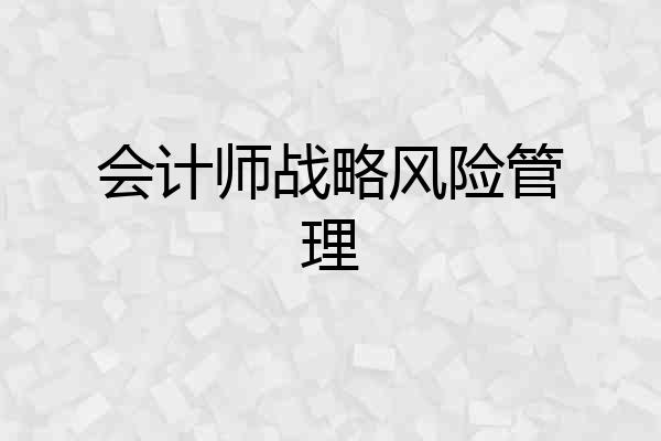 会计师战略风险管理