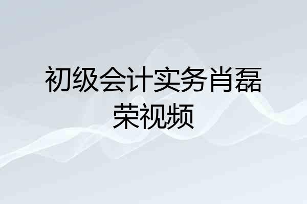 初级会计实务肖磊荣视频