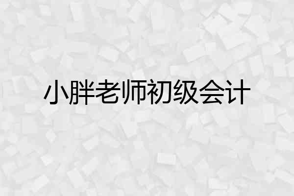 小胖老师初级会计