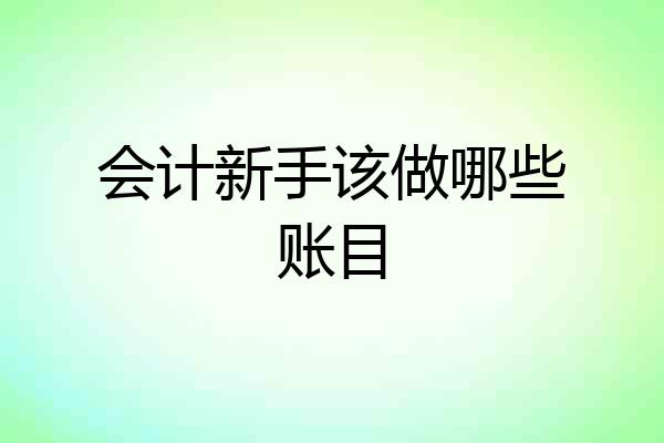 会计新手该做哪些账目