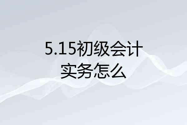 5.15初级会计实务怎么