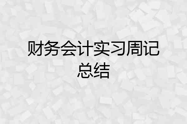 财务会计实习周记总结