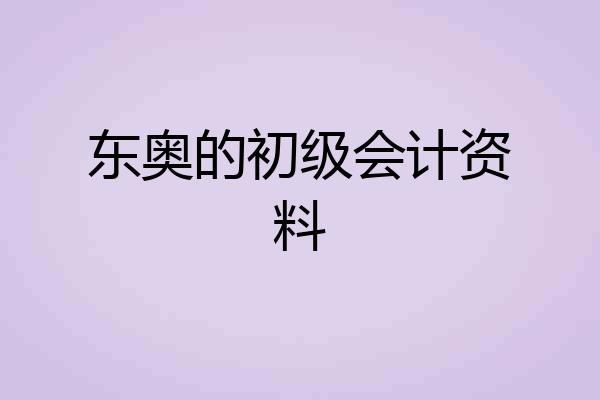 东奥的初级会计资料