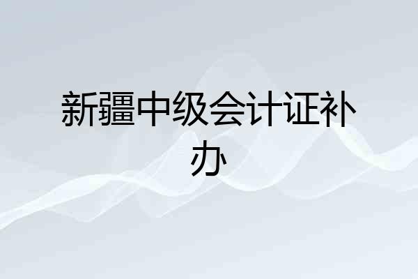 新疆中级会计证补办