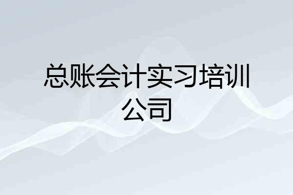 总账会计实习培训公司