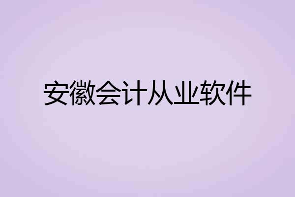 安徽会计从业软件